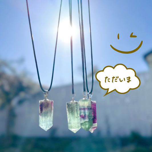 ただいま！フローライトが帰ってきた✨