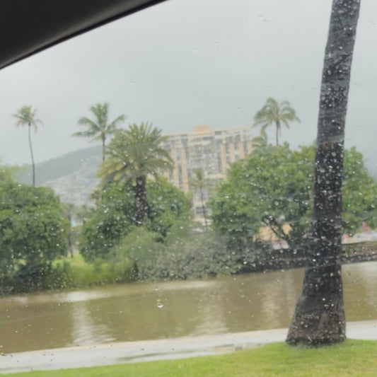 今年2回目☔️ハワイで洪水警報