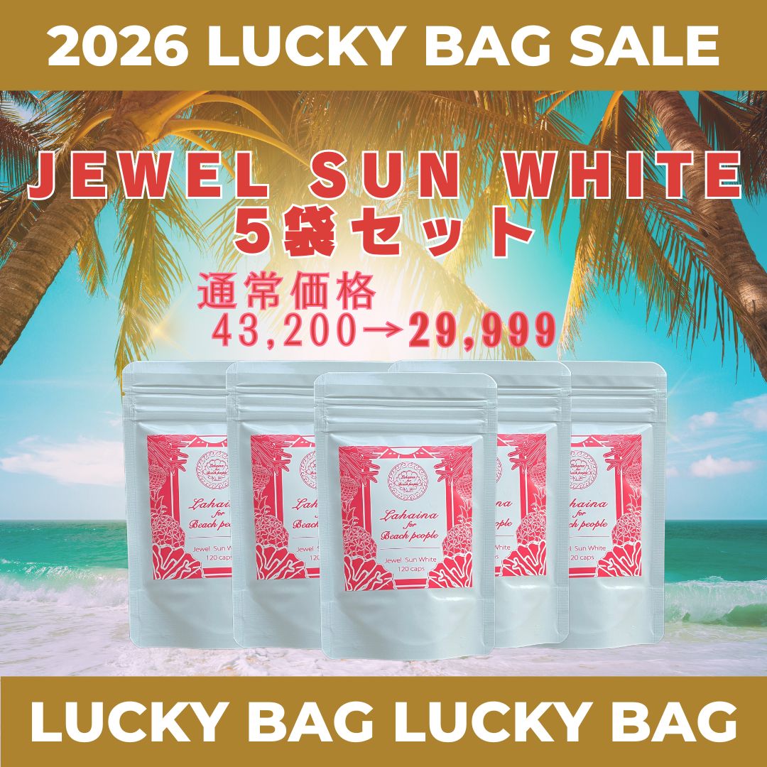 𓇼★𓇼 2026年福袋 𓇼★𓇼 ジュエルサンホワイト(大)5個セット✨